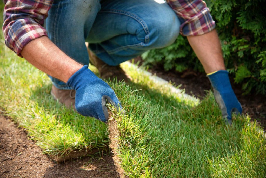 Graszoden leggen zonder wals kan dat Grasmatten leggen