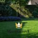 DLF Schaduw & Sier graszaad kopen