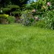DLF-Masterline-Schaduw-&-Sier-graszaad-kopen-02