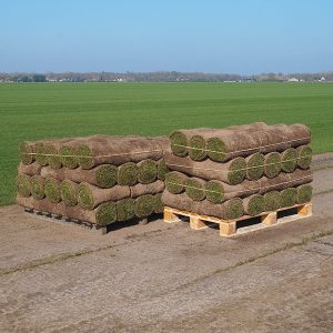 Graszoden grasmatten grasrollen kopen 100 m2