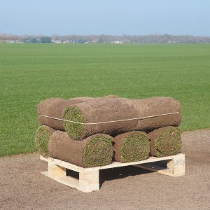 Graszoden grasmatten grasrollen kopen 10 m2