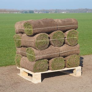 Graszoden grasmatten grasrollen kopen 20 m2