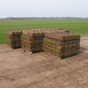 Graszoden grasmatten grasrollen kopen 300 m2+