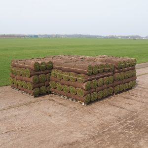 Graszoden grasmatten grasrollen kopen 300 m2