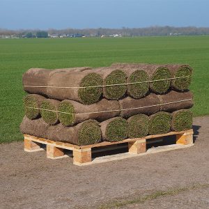 Graszoden grasmatten grasrollen kopen 30 m2