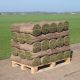 Graszoden grasmatten grasrollen kopen 50 m2