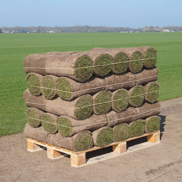 Graszoden grasmatten grasrollen kopen 50 m2