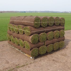 Graszoden grasmatten grasrollen kopen 80 m2